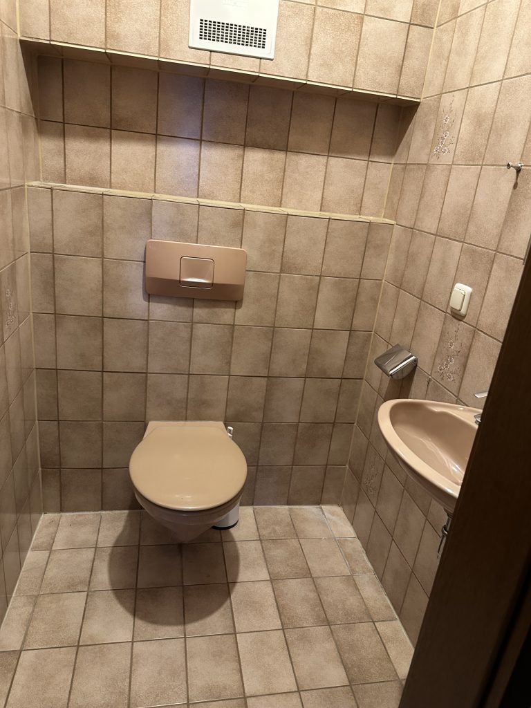 Badezimmer mit Toilette und Waschbecken