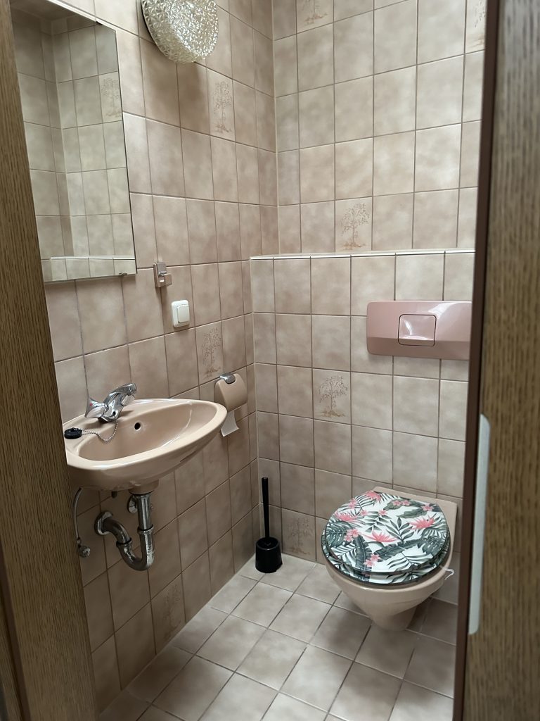 Gäste WC mit Toilette und Waschbecken